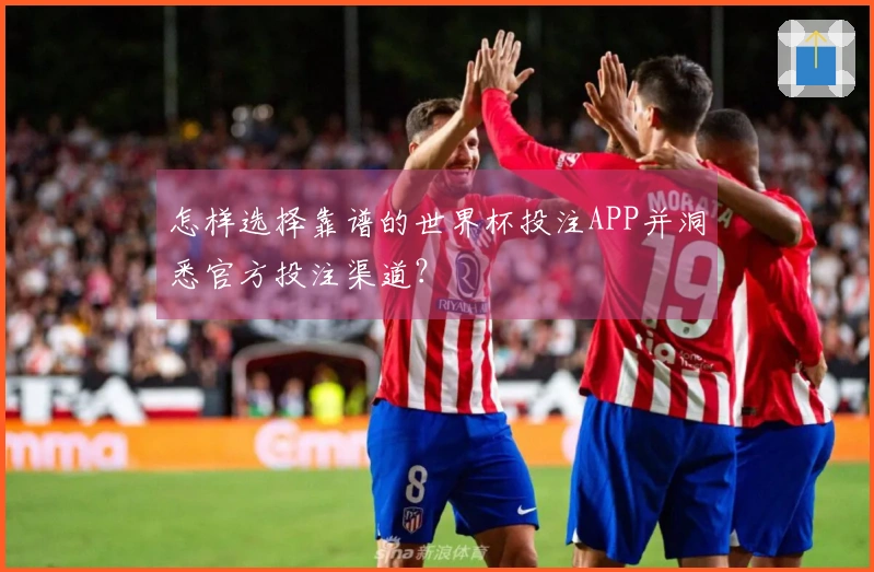 怎样选择靠谱的世界杯投注APP并洞悉官方投注渠道？